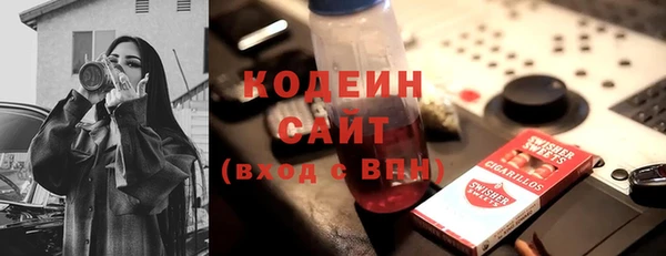 амф Новозыбков