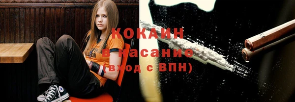 ECSTASY Белокуриха