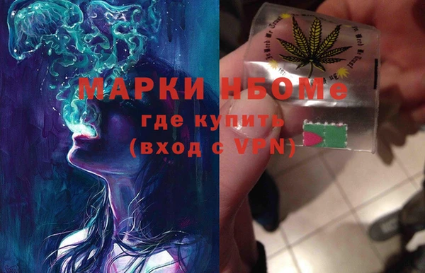 ECSTASY Белокуриха