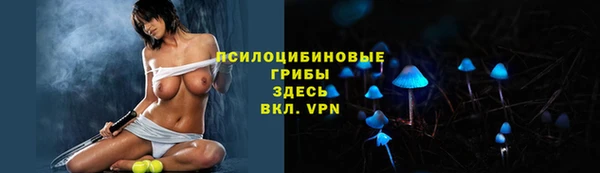 ECSTASY Белокуриха